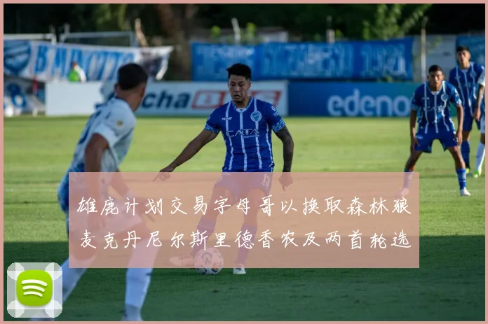 雄鹿计划交易字母哥以换取森林狼麦克丹尼尔斯里德香农及两首轮选秀权